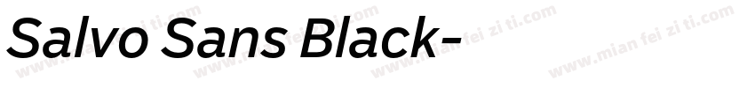 Salvo Sans Black字体转换